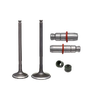 Valvula Guia E Retentor Kit (6pcs) Ww3 Fazer 150 14/ Xtz 150