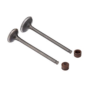 Valvula E Retentor Kit (4pcs) Ww3 Cg 125 09/18 Ret. Marrom