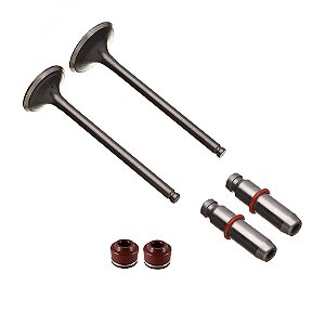 Valvula Guia E Retentor Kit (6pcs) Ww3 Cg 150 04/15