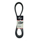Correia Dupla Powerband | Gates 2x13x1595