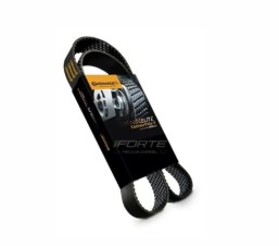 Correia POLY V 8PK1205 2P0145933A | Gates