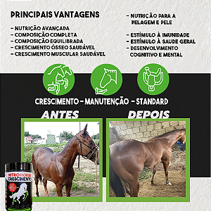 Suplemento para Cavalo Nitro Horse Crescimento 5 kg