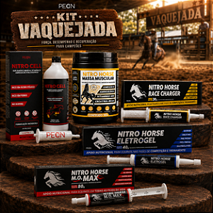 KIT VAQUEJADA