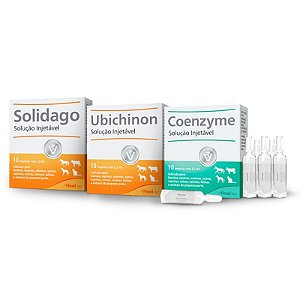 Protocolo SUC - Solidago, Ubichinon e Coenzyme - 10 Ampolas de 2,2ml de cada