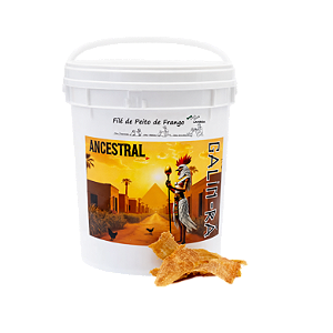 Balde de Filé de Peito de Frango