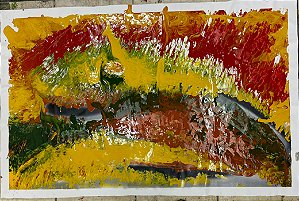 BRAZILIAN BURNING FOREST