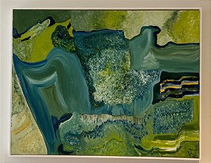 AMAZON SATELLITE FOOTAGE