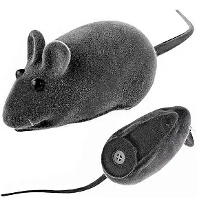 Ratinho de Vinil