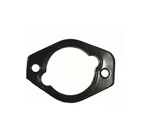 Chapa de Vedação / 1461074339 / Bomba Rotativa