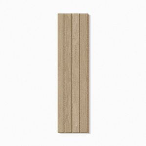 PLACA RIPADO AREAL 1m²