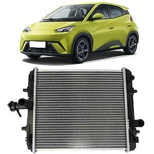 Radiador Dianteiro Byd Dolphin Mini 2024 2025 2026 EQEA-1301030