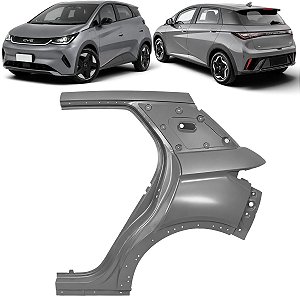 Folha Retalho Lateral Byd Dolphin 2024 2025 2026 2027 Esquerdo Motorista EM2EU540191777 Novo