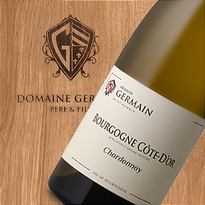 Arnaud Germain - Bourgogne Cote d Or - Blanc - 2022