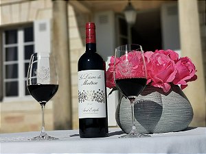 Chateau Montrose - La Dame De Montrose - Rouge - 2017