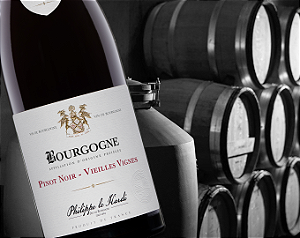 Chateau Philippe Le Hardi - Bourgogne Pinot Noir Vv - Rouge - 2022