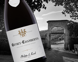 Chateau Philippe Le Hardi - Gevrey Chambertin - Rouge - 2019