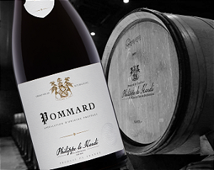 Chateau Philippe Le Hardi - Pommard - Rouge - 2022