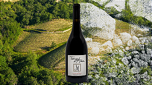 Michelas Saint Jemms - Crozes Hermitage Terres D'Arce - Aop Crozes Hermitage - 2020