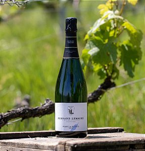 Champagne Fernand Lemaire - Blanc de Blanc 1er Cru - Effervescent Blanc - Nv - 0,75