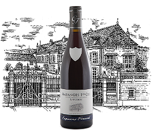 Domaine Capuano Ferreri - Maranges Premier Cru La Fussiere - Rouge - 2023 - 0,75