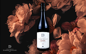 Domaine Desvignes - Givry - Rouge - 2023 - 0,75