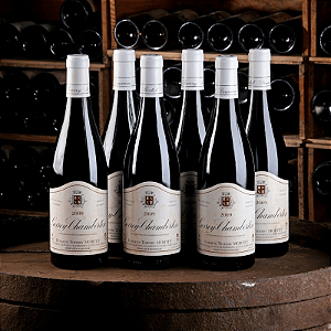 Domaine Thierry Mortet - Gevrey Chambertin - Rouge - 2022 - 0,75