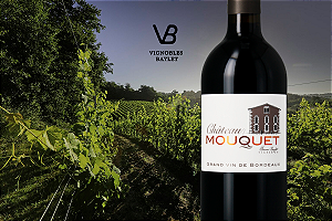 Vignobles Baylet - Chateau Mouquet - Rouge - 2020 - 0,75