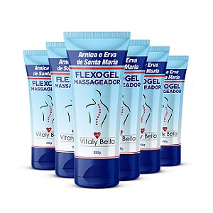 Kit Econômico com 6 Unidades – Flexogel Massageador com Arnica e Erva de Santa Maria