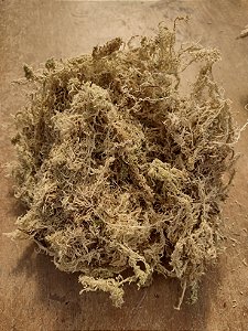 Sphagnum Musgo desidratado