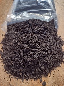 Substrato terra vegetal com casca de pinus, adubo e ph corrigido.