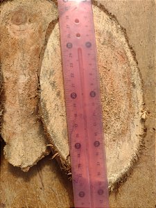 bolacha sansão campo 20cm para plantio orquideas, kit com 5 unidades.