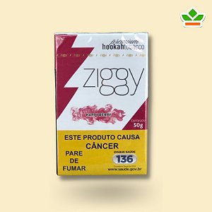 ZIGGY BERRY - Pack com 10 un