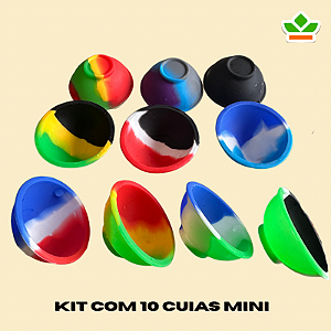 KIT COM 10 CUIAS MINI | CORES SORTIDAS