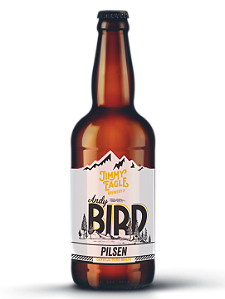 Cerveja Andy Bird 500ml
