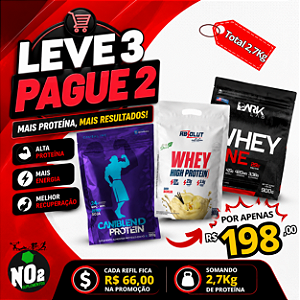 LEVE 3 PAGUE 2 - WHEY