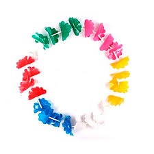 Colar Havaiano - Allseasons