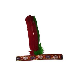 Cocar Indio - Pica Pau