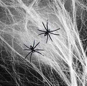 Teia de Aranha 20GR Branca - Partiu Festa