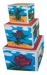 Cubo Evolutivo
