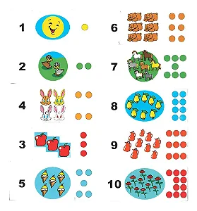 Numeral E Quantidade Em Braille