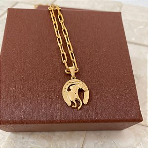 Colar Masculino Cavalo e Ferradura Elegância com Cordão Cartier Banhado a Ouro 18K