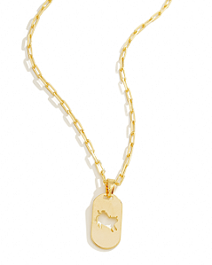 Colar Masculino Rodeio com Cordão Cartier Banhado a Ouro 18K