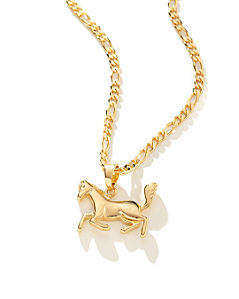 Colar Masculino Cavalo Inteiro com Cordão 3x1 Banhado a Ouro 18K