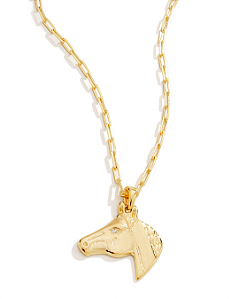 Colar Masculino Rosto Cavalo Country Cartier Banhado a Ouro 18K