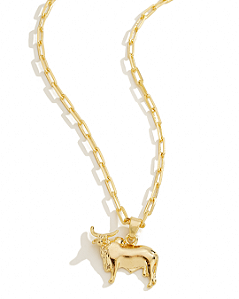 Colar Masculino Touro Majestoso com Cordão Cartier Banhado a Ouro 18K