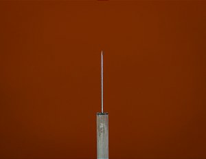 AGULHA - CABO DE MADEIRA