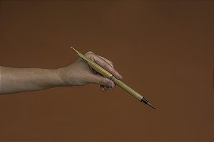 PINCEL BAMBU COM PENA