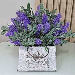 Jardim de Lavanda Amanda