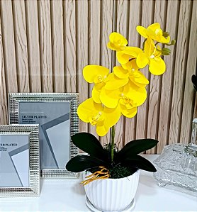 Arranjo de Orquidea Phalaenopsis Amarela Alice