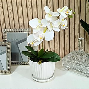 Arranjo de Orquidea Phalaenopsis Branca Alice